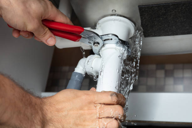 Best Local water damage restoration  in Long Prairie, MN
