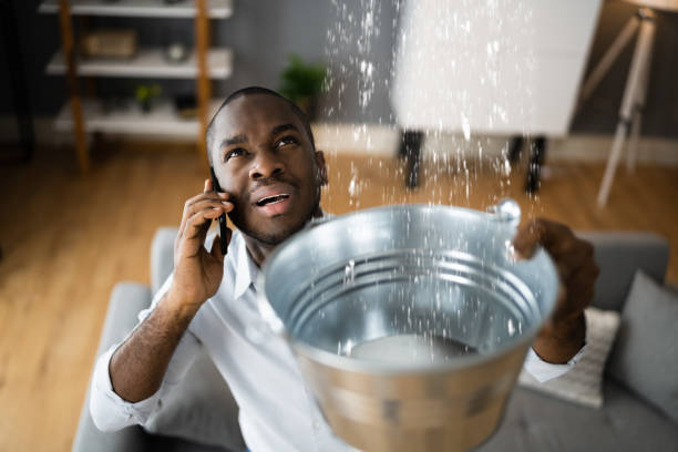Best Water damage restoration near me  in Long Prairie, MN