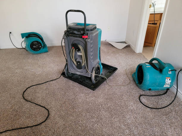Best Local water damage restoration  in Long Prairie, MN