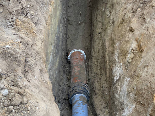  Long Prairie, MN Water damage restoration Pros