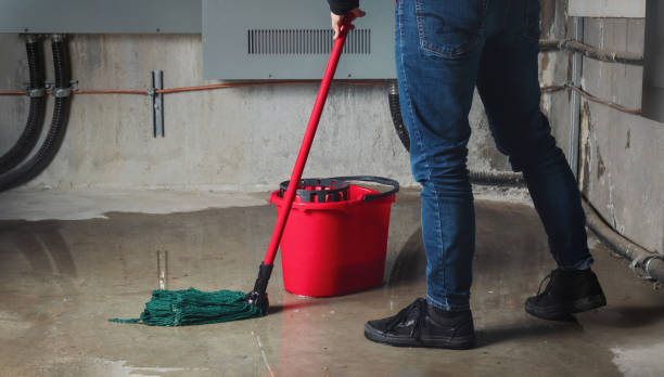Best Water damage cleanup near me  in Long Prairie, MN