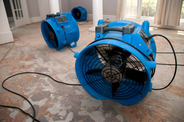 Best 24-hour water damage restoration  in Long Prairie, MN