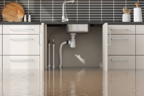 Best Commercial water damage restoration  in Long Prairie, MN