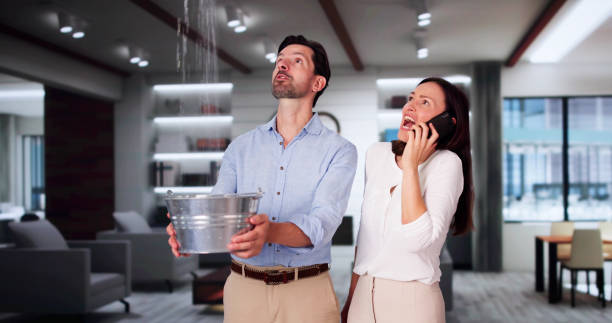 Best Mold removal after water damage  in Long Prairie, MN
