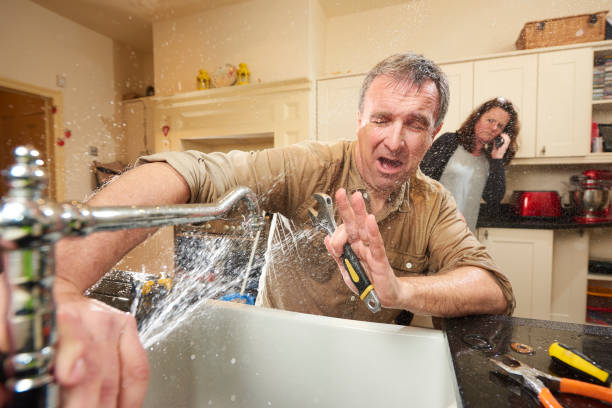 Best Carpet water damage restoration  in Long Prairie, MN
